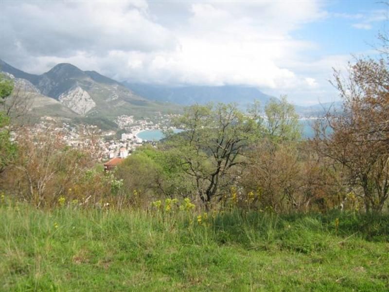 Bar, Sutomore