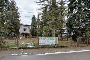 Górki