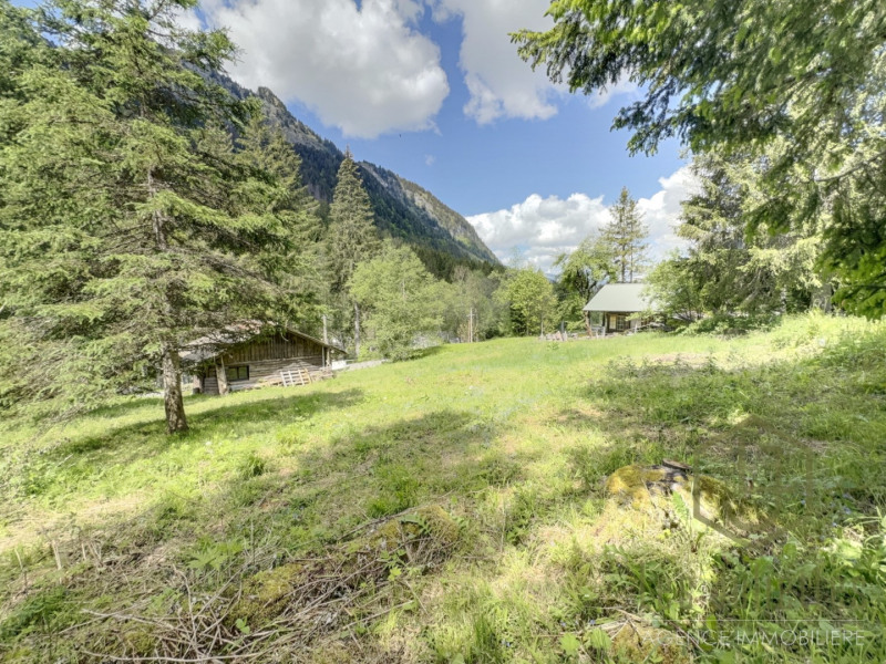 à Morzine (74110)