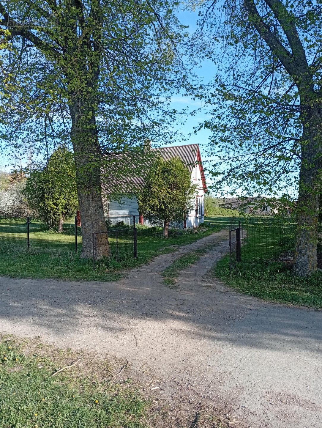 Pasvalio r. sav., Žadeikių k. Mokyklos g.