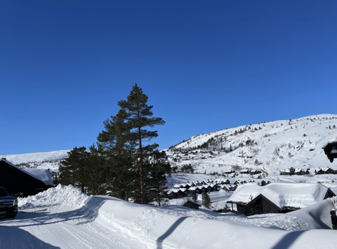 Kvitefosslia 33, Åseral