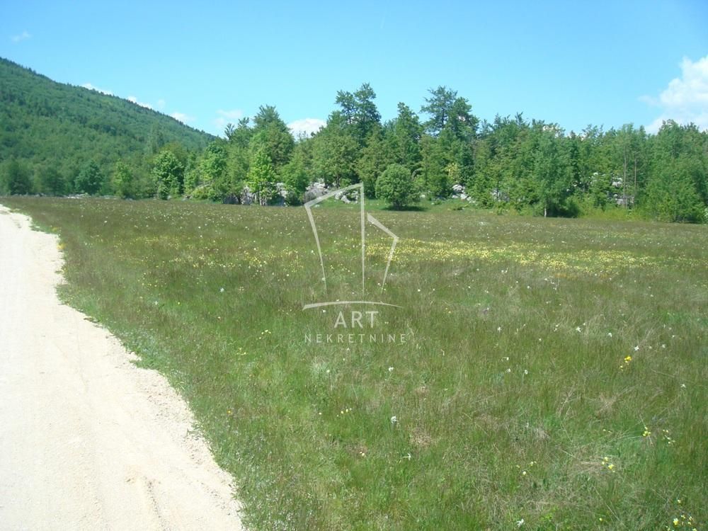 Niksic, Center