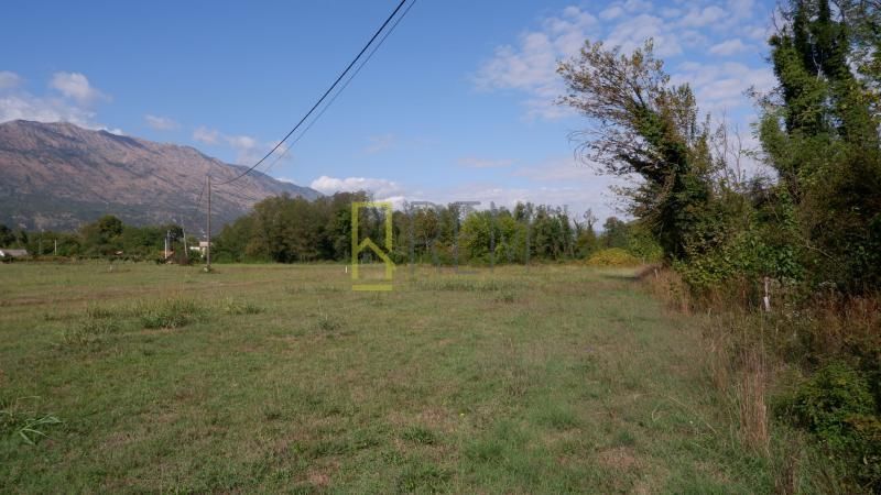 Danilovgrad, Grlic