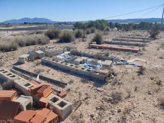 Molina de Segura,  ES