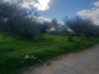 Arkalochori,  GR
