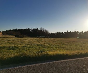 Arazede,  PT