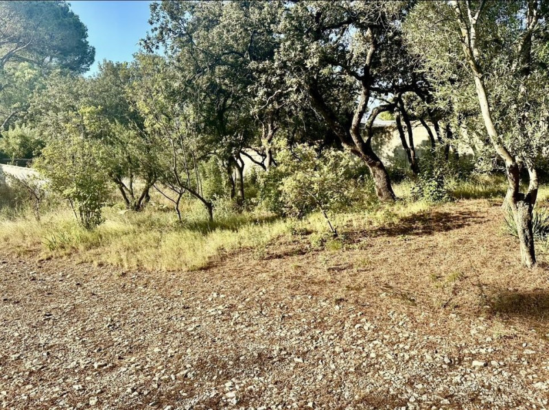 à Villeneuve-lès-Avignon (30400)