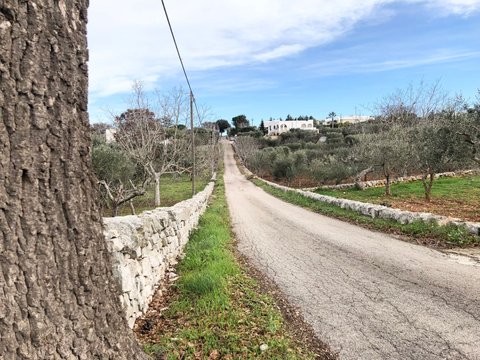 Monopoli,  IT
