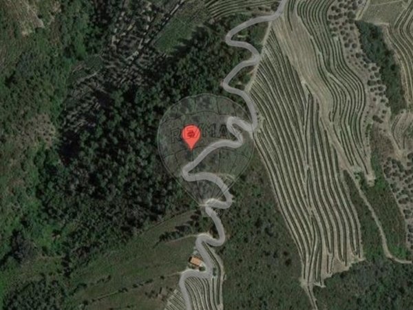 Ervedosa do Douro,  PT