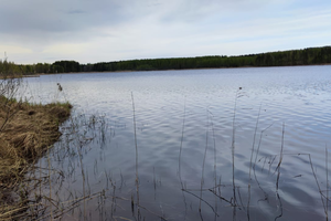 Pistalanharjuntie 123, 58320 Savonlinna