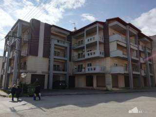 Naousa,  GR