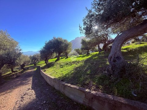 Termini Imerese,  IT