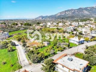 Zacharo,  GR