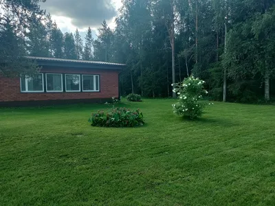 Hirmulantie 168, Hirmula, Keminmaa