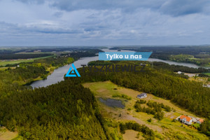Stężyca