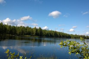 Iivantiira (9/ 1), Juttuantie, Kortelahti Kortteli 9, tontti 1, Kuhmo