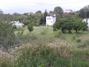 Varna region, Pripek