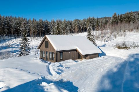 Marsteinhøgda, Fagernes