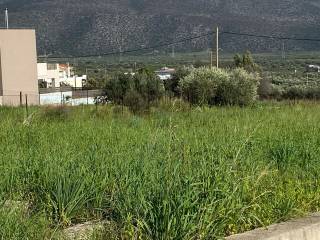Molaoi,  GR