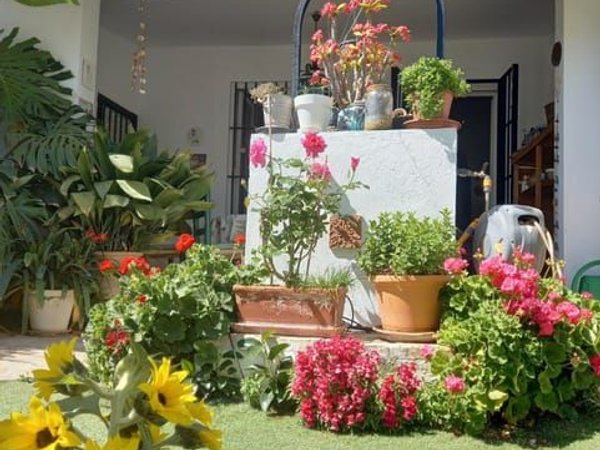 Castilleja de la Cuesta,  ES