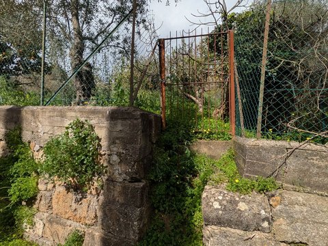 Monreale,  IT