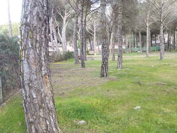 Medina del Campo,  ES