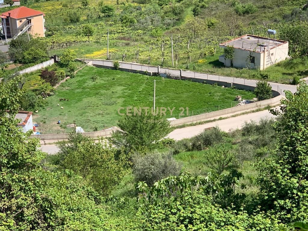 Tirana Suburbs, Kashar