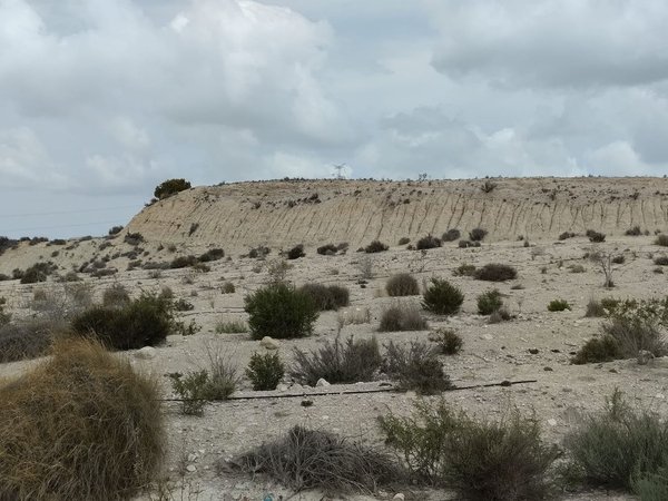 Fortuna,  ES