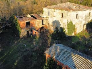 Arezzo,  IT