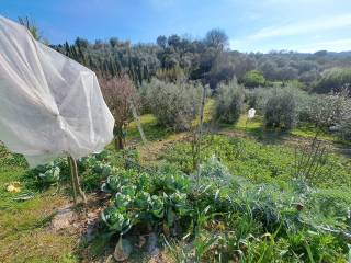 Lastra a Signa,  IT