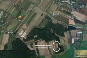 Beznatka