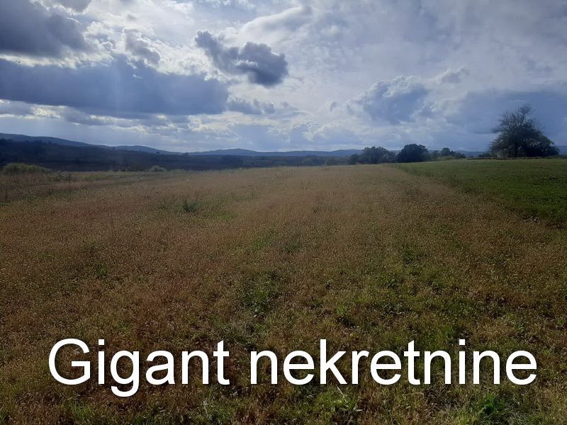 Zajecar District, Sokobanja