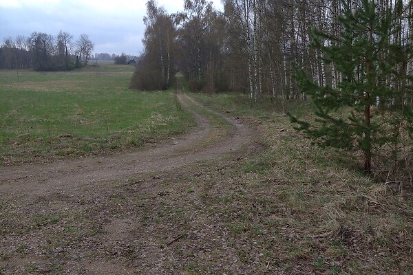 Tartumaa, Peipsiääre vald, Meoma