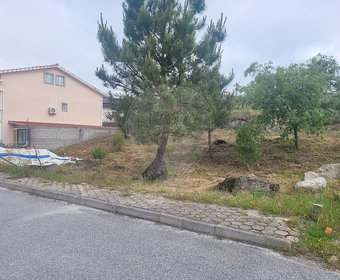 Mangualde,  PT