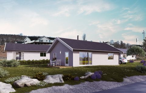 Salina Slettmo/Nils Jønsbergs vei, Hansnes
