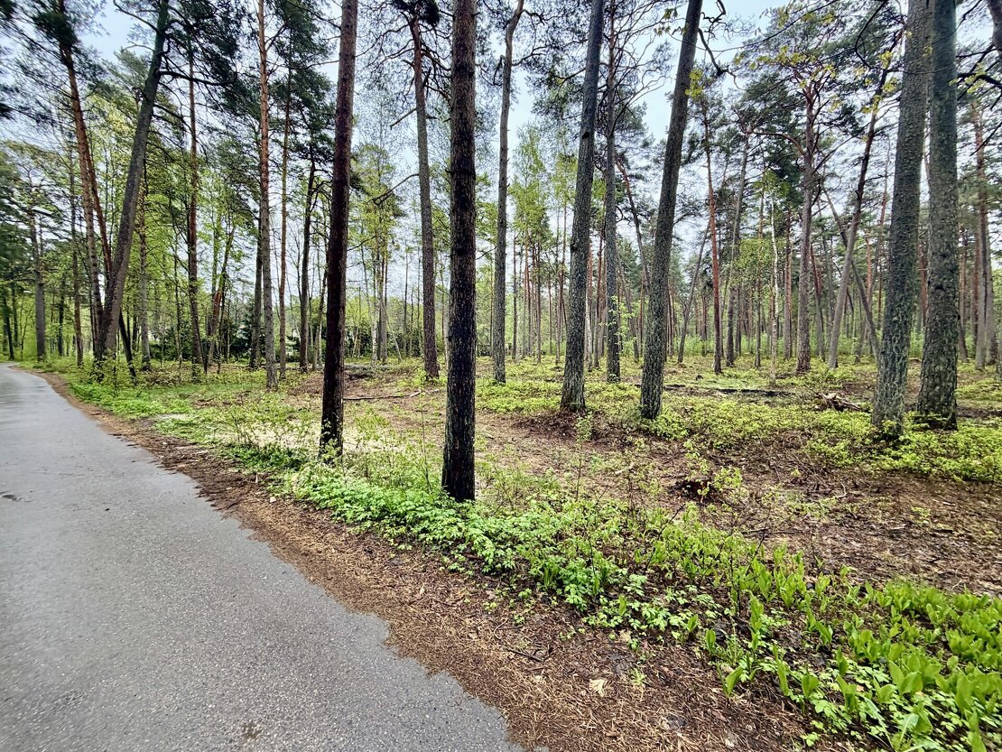 Pulkveža Brieža iela, Pumpuri