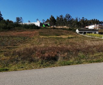 Mortágua,  PT