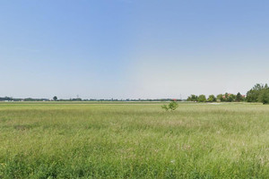 Brójce