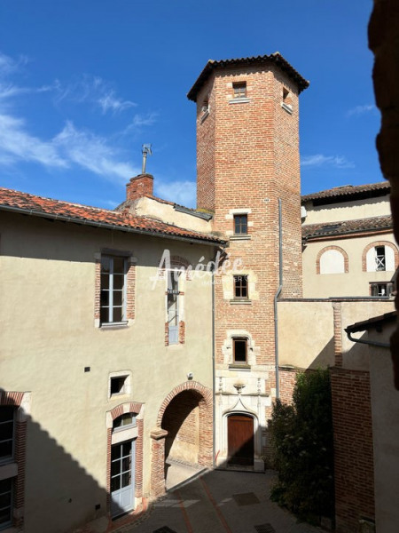à Albi (81000)