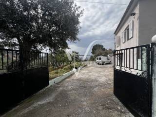 Thouria,  GR