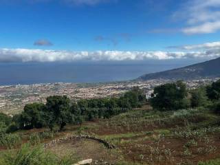 La Orotava,  ES