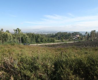Recarei,  PT