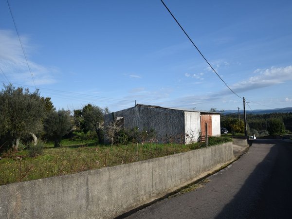 Arrifana,  PT