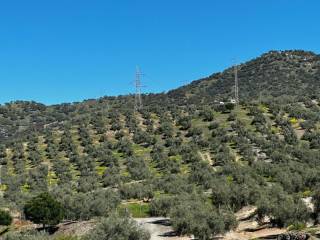 Andújar,  ES