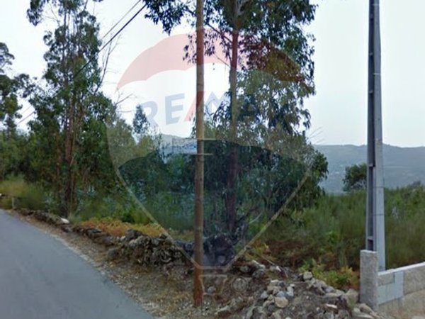 Oliveira,  PT