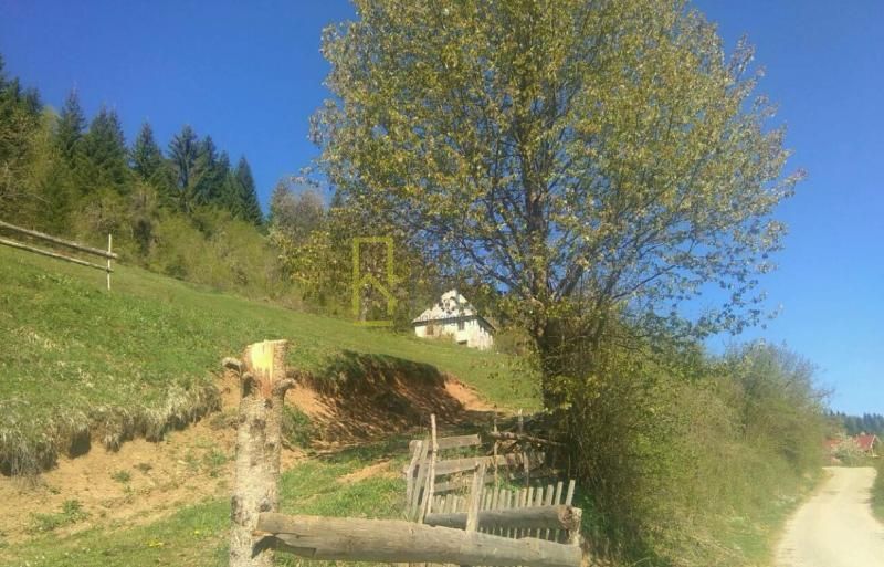 Northern Region, Plav