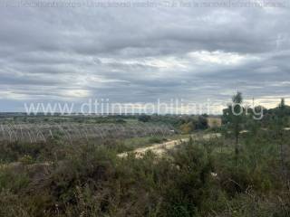 Bonares,  ES