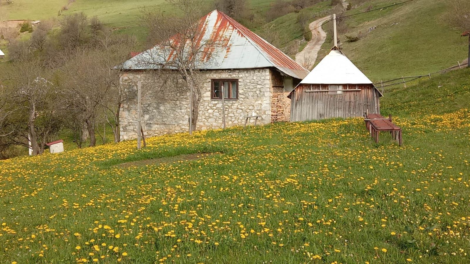 Bijelo Polje, Potrk