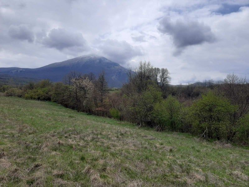 Zajecar District, Boljevac
