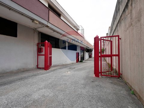 Bari,  IT